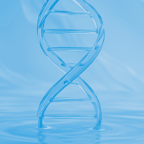 줄기세포 엑소좀 배경 이미지